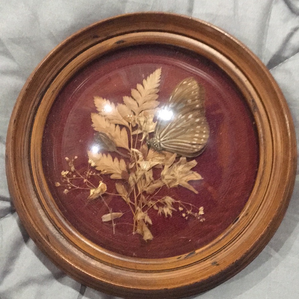 🐛🐛🦋Vintage butterfly wall hanging